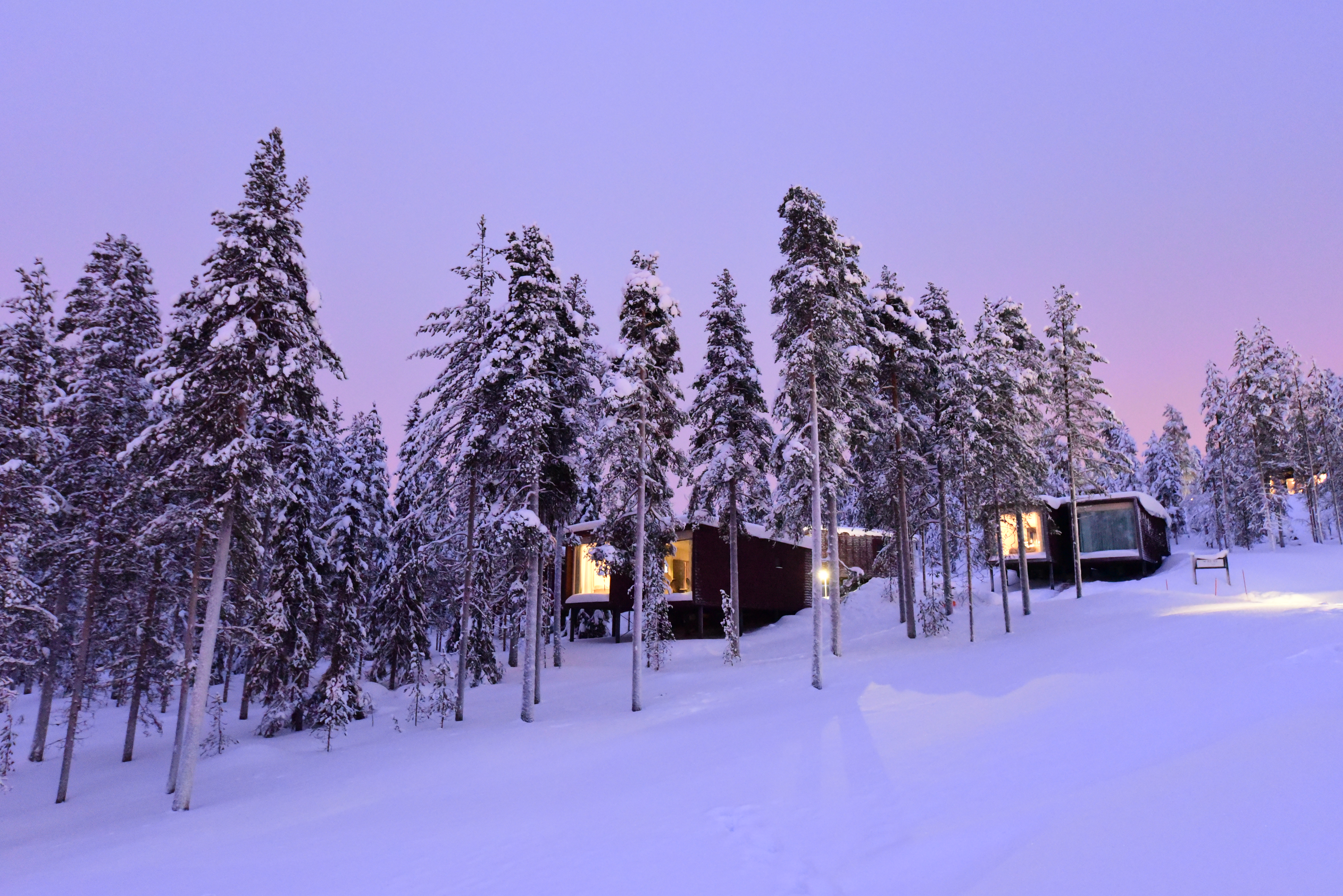 arctic_treehouse_6