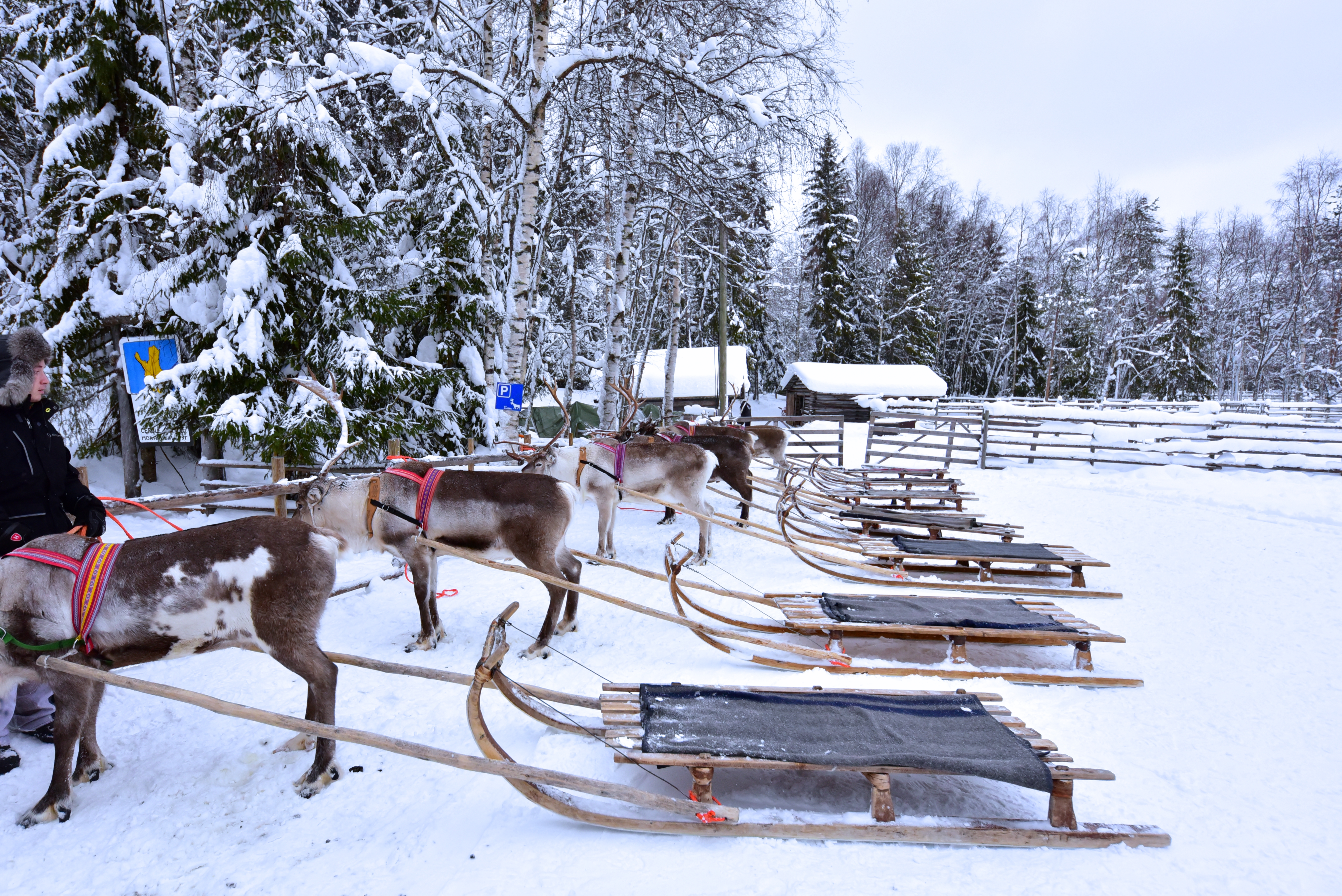 reindeer_sleds